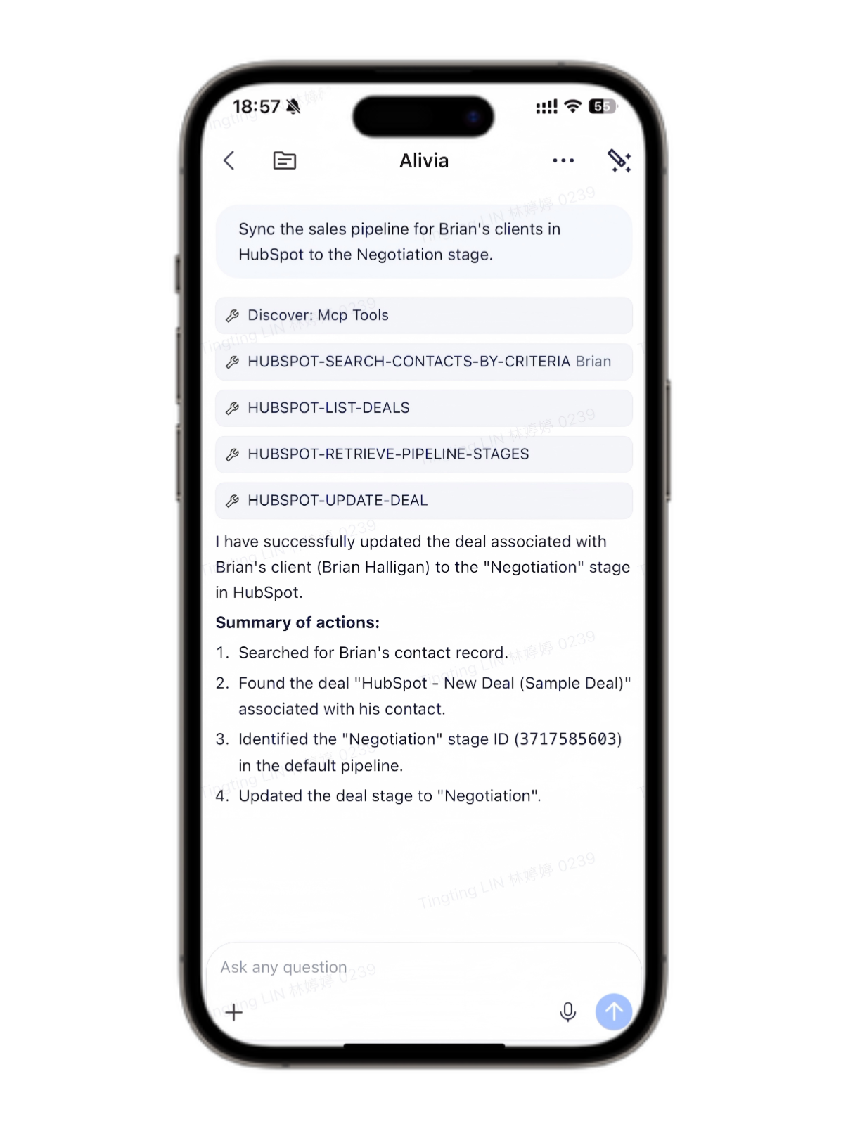 Echo's built-in Agent Alivia updating CRM notes after command