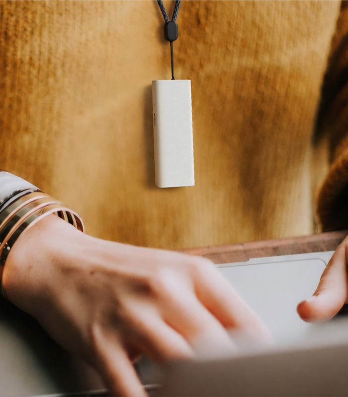 Echo AI note taker for consulting teams creating structured summaries from client conversations