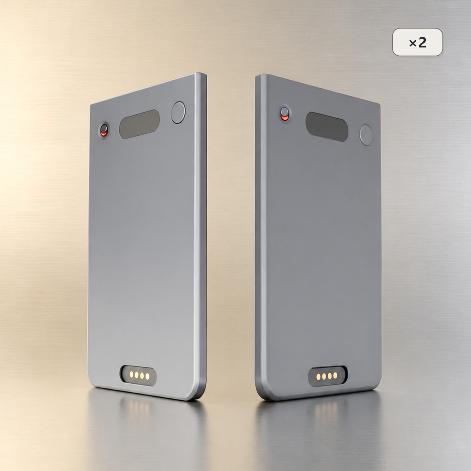 Echo Pro ×2